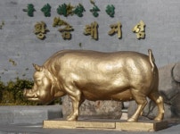 [2019 황금돼지해] ③돼지 닮은 마산 돝섬 관광명소 부활 꿈꾼다