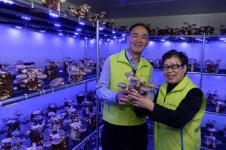 시영아파트 지하에 차린 버섯농장…희망이 자란다