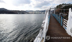 황금돼지섬 돝섬 출렁다리