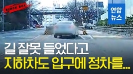 [블랙박스] 길 잘못 들었다고 지하차도 앞에서 정차를…