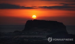 용궁서 나온 연꽃 성산일출…찬란한 자태 보여주려나