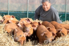 넉넉한 2019년이 되기를
