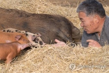 풍요로운 2019년이 되기를