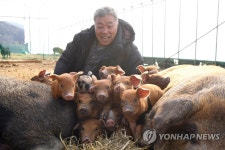 넉넉한 기해년이 되기를