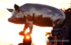 2019년 새해, 황금 돼지와 함께