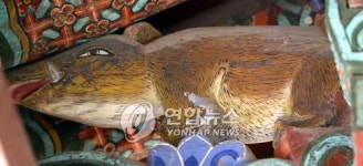 돼지해 명소 경주 불국사 황금돼지 조각상 보러 오세요