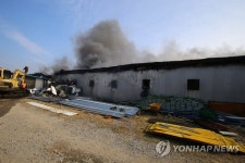 의성 돈사에서 불