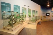 목화재배 역사를 한눈에…산청군 목면시배유지 전시관 무료화