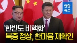 [영상] 북중 정상, 4차 회담서 한반도 비핵화 '한마음'
