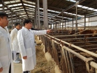 가축전염병을 막아라 경남도 구제역·AI 현장방역 강화