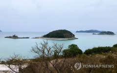 여자만, 갯벌도 아름다운 곳