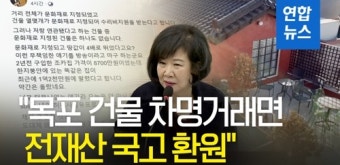 [영상] '투기 의혹' 손혜원 