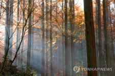 대통령 휴양지 장태산에서 대전 방문의 해 알리자