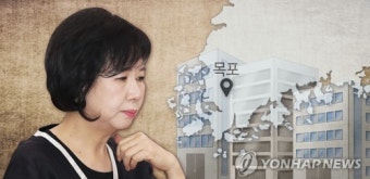 '손혜원=목포 투기' 성립 키포인트는…정부 공약 인지 여부