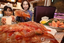 설 선물로 도화새우 어떠세요?