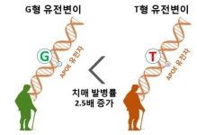 구강 세포 유전자 분석해 치매 위험도 측정…특허 등록