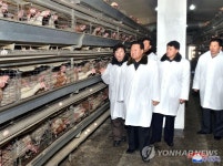 북한 최룡해, 닭공장·가금공학연구소 시찰