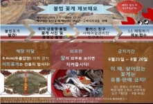 서해어업관리단 SNS로 소비자와 함께 꽃게 불법 유통 감시한다