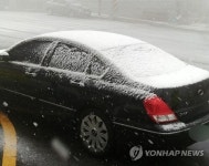 부산 올겨울 첫눈…고지대 3곳 차량 통제·마을버스 운행 중단(종합)