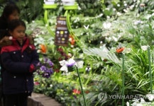 미리 만나는 봄의 전령 나비