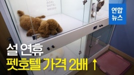 [영상] 설 연휴에 펫호텔 가격이 두배?
