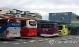 포항·경주∼대구공항 시외버스 하루 왕복 4회 다닌다