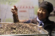 [차 향기 그윽한 여행] 녹차의 본향(本鄕) 보성