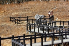 [걷고싶은길] 점봉산 곰배령 생태탐방로