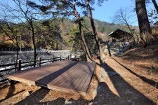 [숲이부른다] 인제 하추자연휴양림