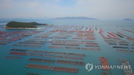 전남도, 양식어장 해황 정보 실시간 제공 시스템 추진