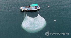 제철 맞은 남해 손도 개불잡이