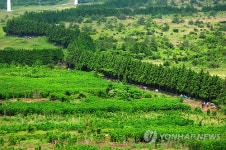 훼손되고 방치된 환해장성…제주 향토유적 관리 손놔