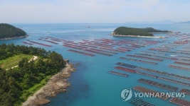 전남도, 양식어가에 어린 전복 먹이생물 유상 공급