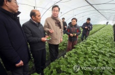 깻잎 재배 농장 현장 찾은 이 총리