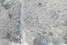 태백산 은빛세상으로 가는 길