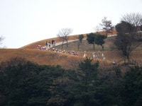 정월 대보름 맞이 완도 당제·당굿…가정·나라 평화 기원