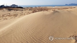 바람이 빚은 풍경…태안 신두리 해안사구