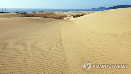 물결무늬의 태안 신두리 해안사구
