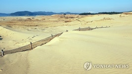 태안 신두리 해안사구의 겨울