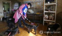 힐스 코리아, 유기동물보호소 찾아 봉사활동