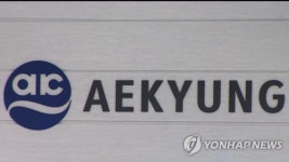 가습기 메이트 제조·판매 애경산업 전 대표 구속…증거인멸