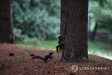 [게시판] 서울 양재 시민의숲서 재능나눔할 20팀 모집