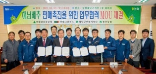 삼호청과부식 | 현대삼호중, '가격폭락 산지폐기' 해남 겨울배추 7t 매입