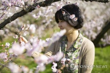 매화꽃과 여인