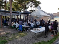 [#꿀잼여행] 강원권: 봄 내음 솔솔…내가 캔 고향 먹거리로 한 끼 뚝딱∼