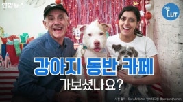 [이슈 컷] 강아지 동반 카페 가보셨나요?