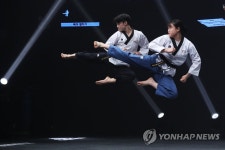 특수효과 같은 태권도