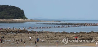 보령 무창포 신비의 바닷길 축제 문화관광육성축제 선정
