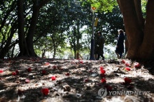 봄기운 가득한 오동도