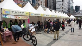 서울 관악구, 반려동물과 공존문화 조성 10개 정책 마련